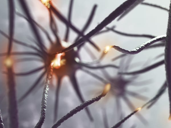 What Causes Nerve Damage and What to Do if You Have It