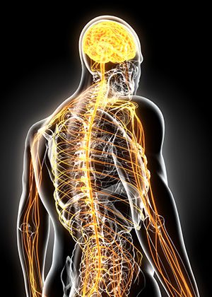 How Nerve Types Affect Neuropathy Symptoms
